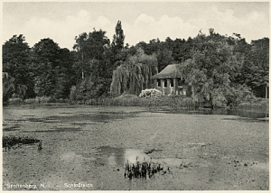 Senftenberg